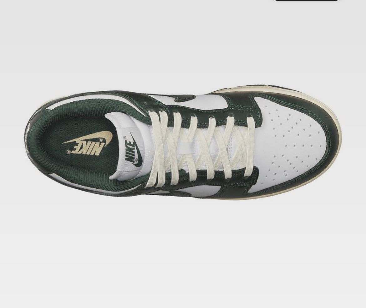 Nike shoe