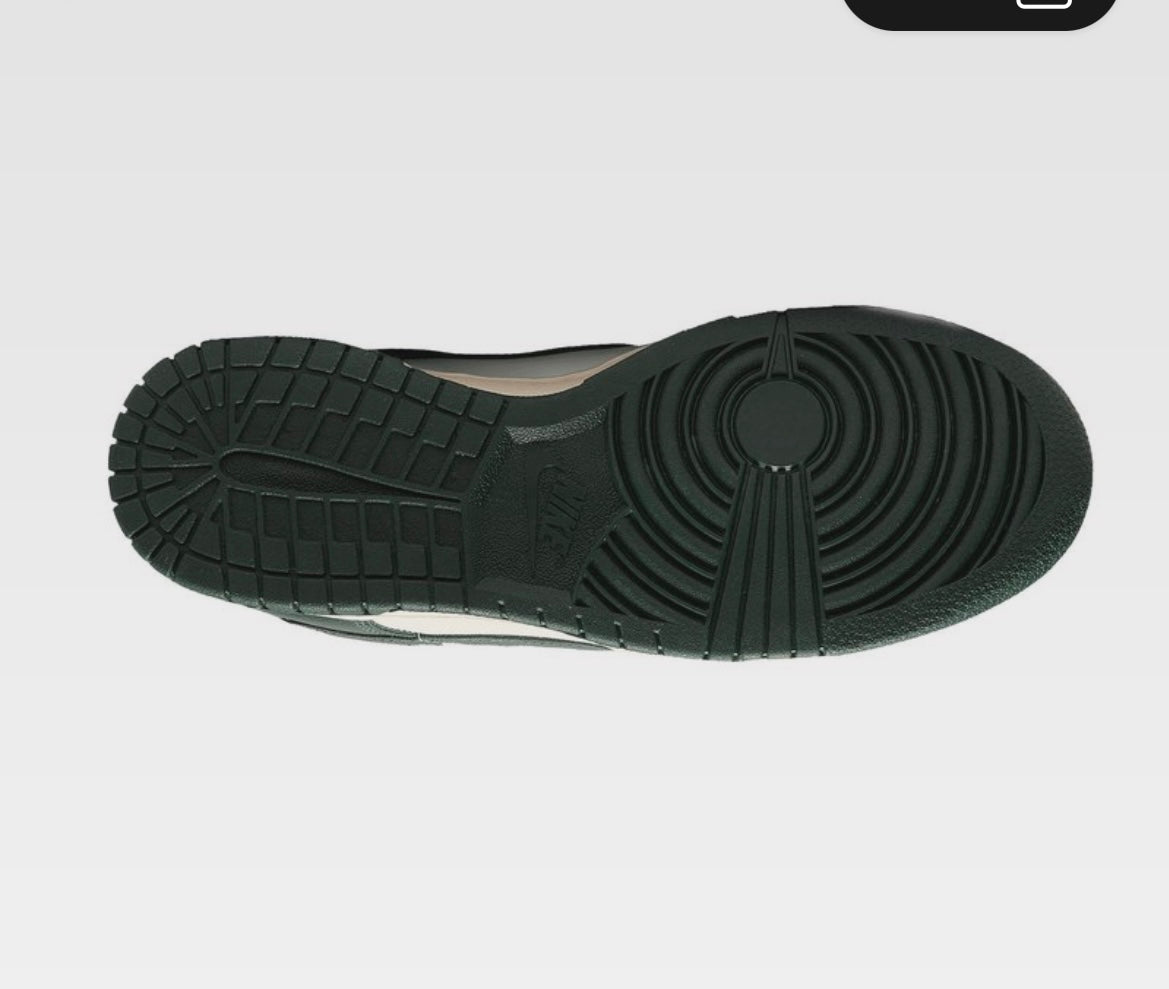 Nike shoe