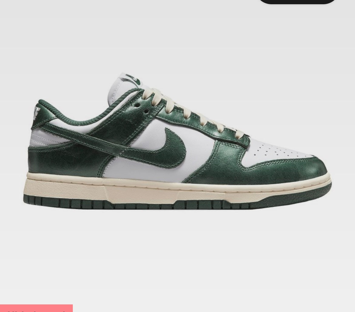 Nike shoe